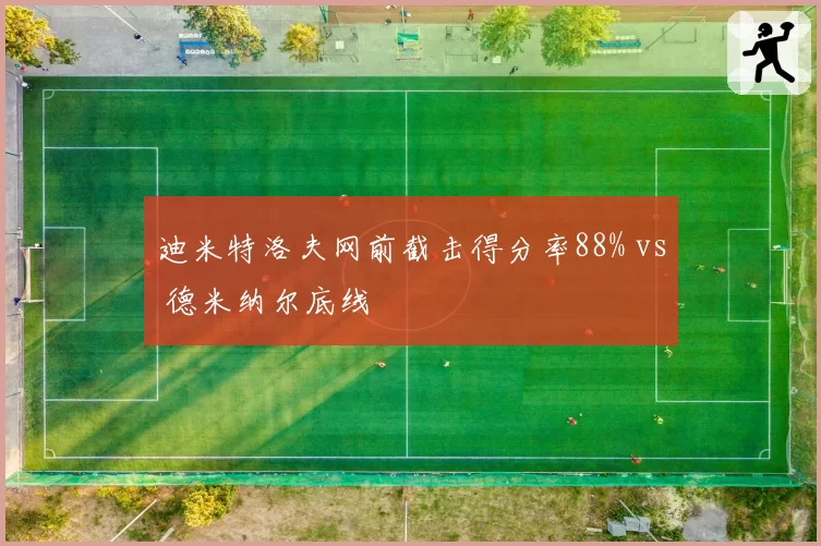 迪米特洛夫网前截击得分率88% vs 德米纳尔底线