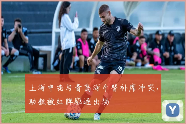 上海申花与青岛海牛替补席冲突，助教被红牌驱逐出场