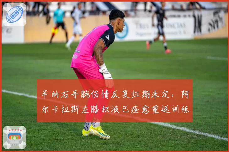 辛纳右手腕伤情反复归期未定，阿尔卡拉斯左膝积液已痊愈重返训练场