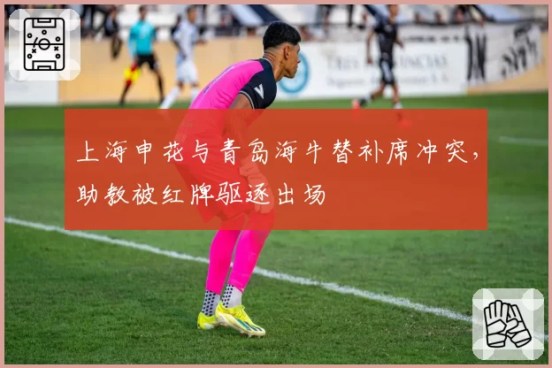 上海申花与青岛海牛替补席冲突,助教被红牌驱逐出场